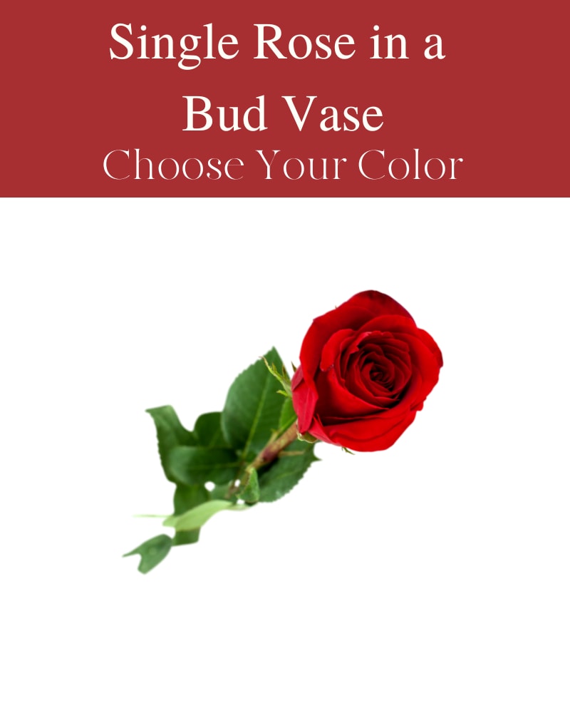 Single Rose Bud Vase